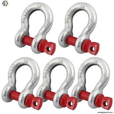 D-type American Shackle Zinc Plated Galvanized Anchor Shackle Bolts