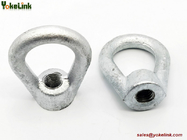 Drop Forged 5/8"-10 Oval Eye Nut for Powerline Fitting